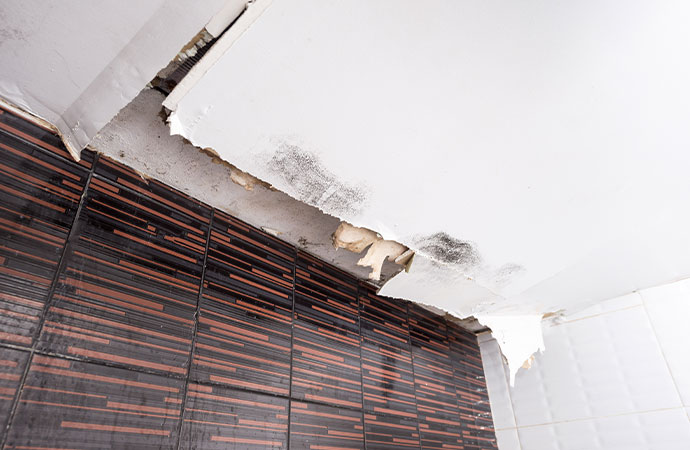  What Are the First Signs of Water Damage? | Frontier Services Group