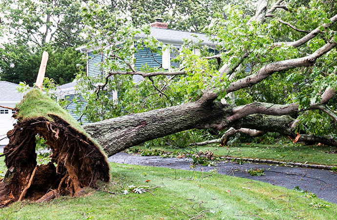 Storm Damage Restoration Service in Houston, TX by Frontier