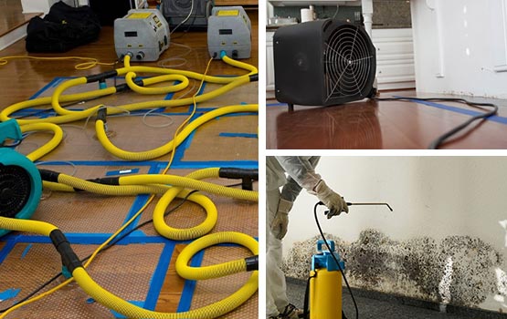 Water extraction, drying, dehumidification, and mold remediation equipment