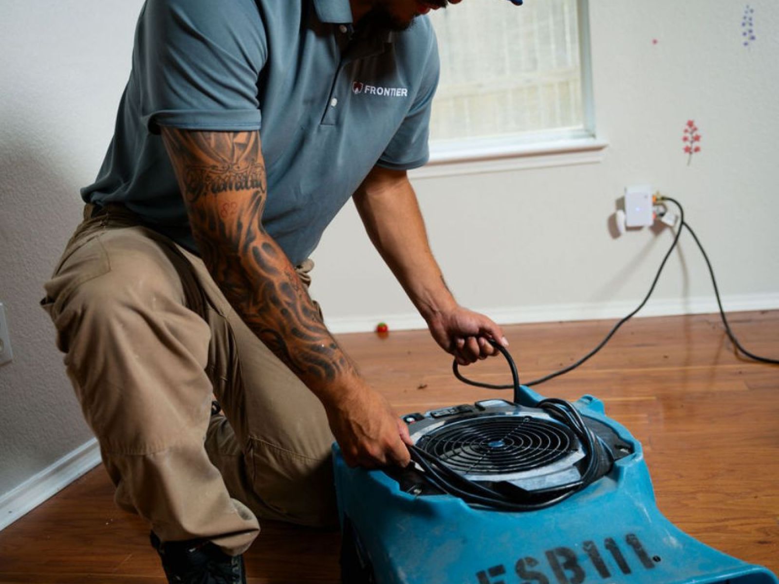 professional-mold-remediation